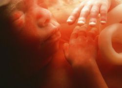 23 tygodnie rozwoju ciąży płodu