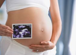 vývoj těhotenství 23 týdnů