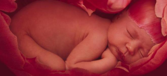 30. týden těhotenského fetálního vývoje
