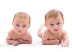 31 недеља трудноће близанаца