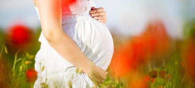 36 седмици от бременността тегли долната част на корема