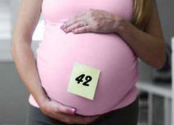 41 42 седмица на бременността