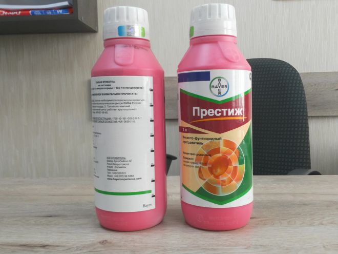 Prestige iz krompirjevega hrošča v Coloradu Престиж от колорадского жука