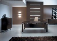 Kabinet u stilu minimalizma -1