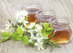 koristne lastnosti medu akacije