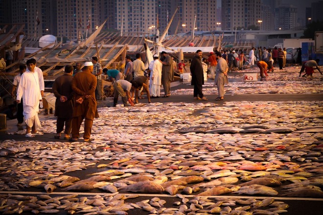 Рыбный рынок Аджмана