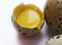 Ali obstaja alergija na jajca iz prepelice?