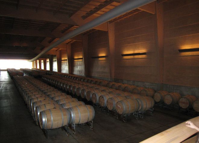Производство элитного вина Аlmaviva