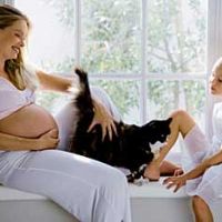 положителна токсоплазмоза при бременност