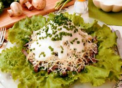 salata muški kaprice s govedinom i gljivama
