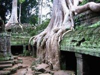 Ангкор Уот история4