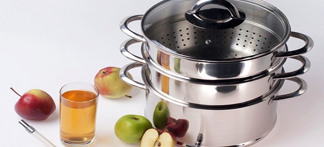 Ябълков сок в сока за готвене за зимата - рецепта
