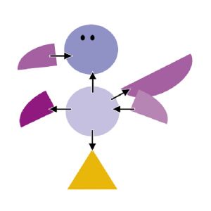 aplikace ptáků19