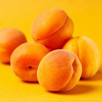 meruňková strava pro hubnutí