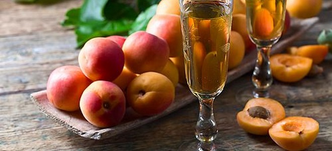 Meruňkový likér doma