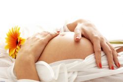 meruňky během těhotenství