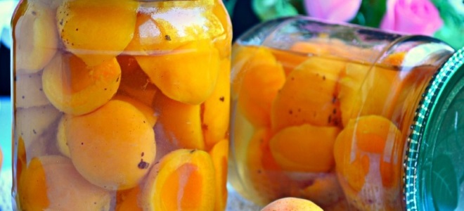 meruňky poloviny v receptu sirupu