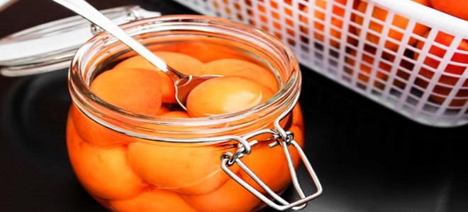 meruňky v sirupu pro zimu