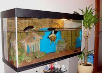 Akvarij za želvice11