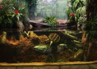 Akvarij za želvice15