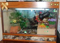 Akvarij za želve2
