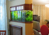 Akvarij u zidu između soba9