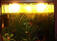 Osvětlení akvária2