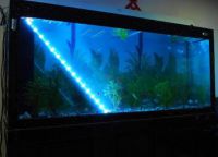 Aquarium Lighting7