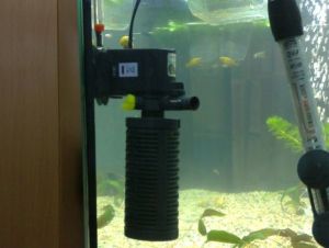 Aquarium pump1