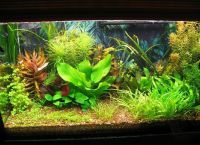 Umetne rastline za akvarij7