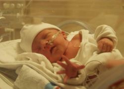 oživljavanje novorođenčadi s asfiksijom