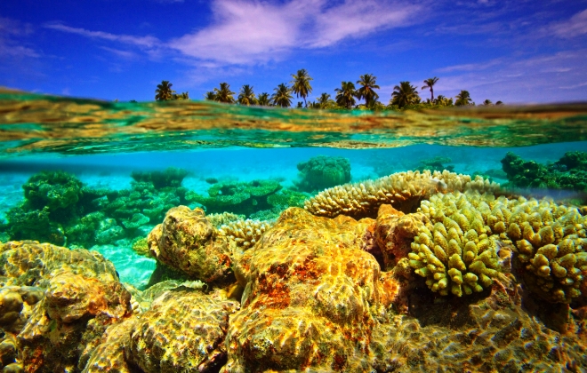 Рифы на Дхаалу