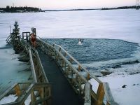 Zimske atrakcije u Helsinkiju6