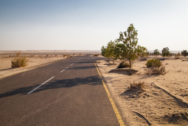 Дорога через пустыню