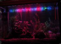 позадинско осветљење за акваријум9
