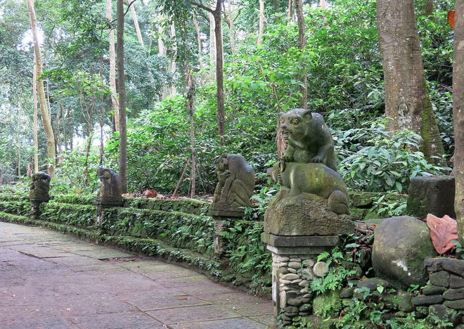 Лес обезьян в Убуде, Бали