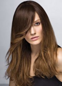 бретон на дълга коса 2015 5