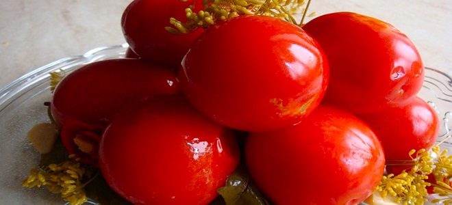 Sudové rajčata s hořčicí