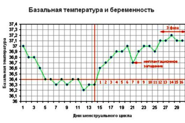 diagram bazalne temperature 1