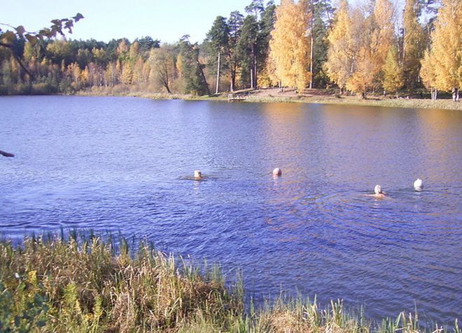 Лесное озеро Бабелите