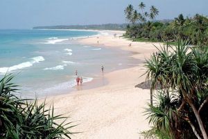 Плажовете на Шри Ланка14