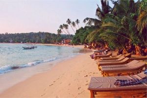Plaže Šri Lanke4