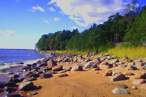 plaże zatoki finlandzkiej 5