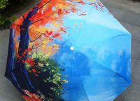 Красиви чадъри 5