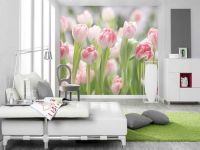 1. Tapety na plochu tulipánů v interiéru