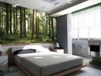 9. Dizajn spavaće sobe s fotografskom pozadinom