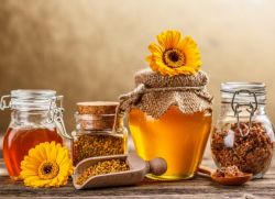 včelí recepty tradiční medicíny