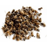 Лечение на тинктура от пчели