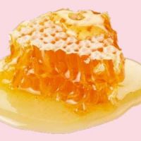 koristne lastnosti čebeljega voska