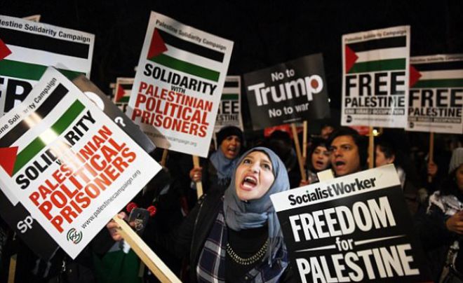 Митинг в защиту Палестины